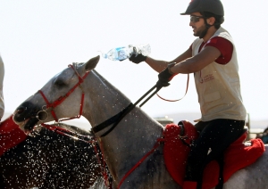 Nasser bin Hamad is leading a team of eight horses at the Royal Windsor Horse Show (AFP) - See more at: http://www.middleeasteye.net/news/bahrain-prince-accused-torture-flies-uk-royal-horse-event-2016320687#sthash.SKGPoCZB.dpuf